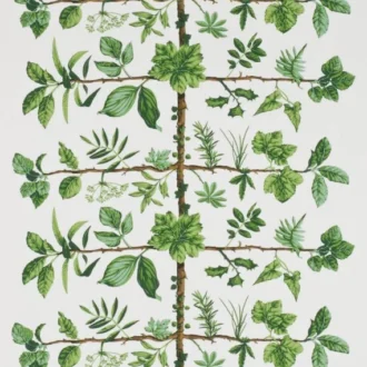 Обои - Pierre Frey - 
WALLPAPER ESPALIER Prairie - FP169001