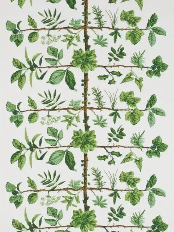 Обои - Pierre Frey -
WALLPAPER ESPALIER Prairie - FP169001