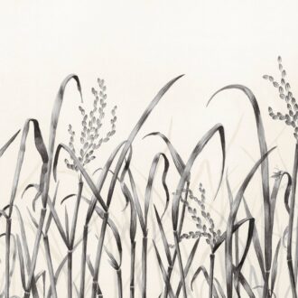 Обои - Nobilis - PANORAMA Hors Champs - PAN130