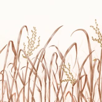 Обои - Nobilis - PANORAMA Hors Champs - PAN131