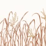 Обои — Nobilis — PANORAMA Hors Champs — PAN131