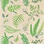 Обои — Pierre Frey — BOTANIQUE Printemps — FP084002
