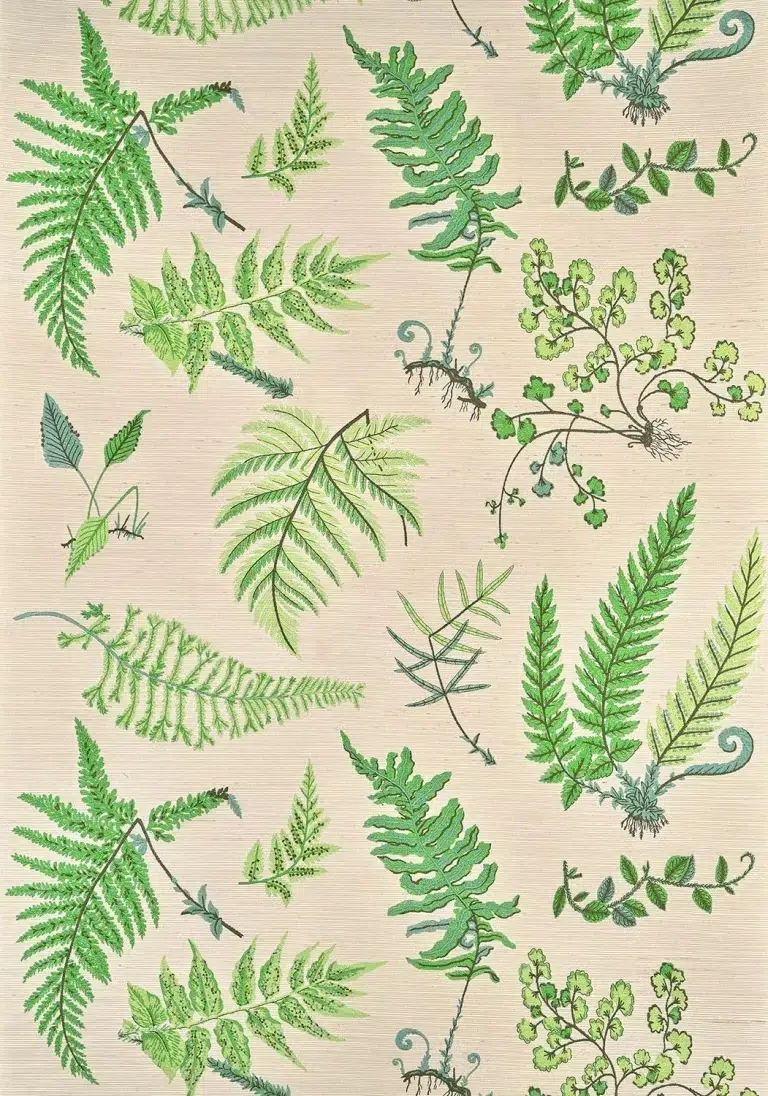 Обои — Pierre Frey — BOTANIQUE Printemps — FP084002