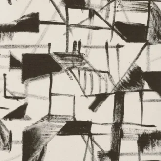 Обои - Pierre Frey -
SUMI Noir - FP557001