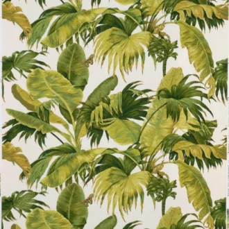 Обои - Boussac - 
WALLPAPER BANANIER Olive - W4630A03