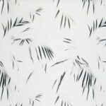 Обои - Nobilis - STENOPE Mousson - STN30