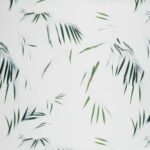 Обои - Nobilis - STENOPE Mousson - STN31