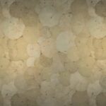 Обои - Nobilis - STENOPE Nympheas - STN61