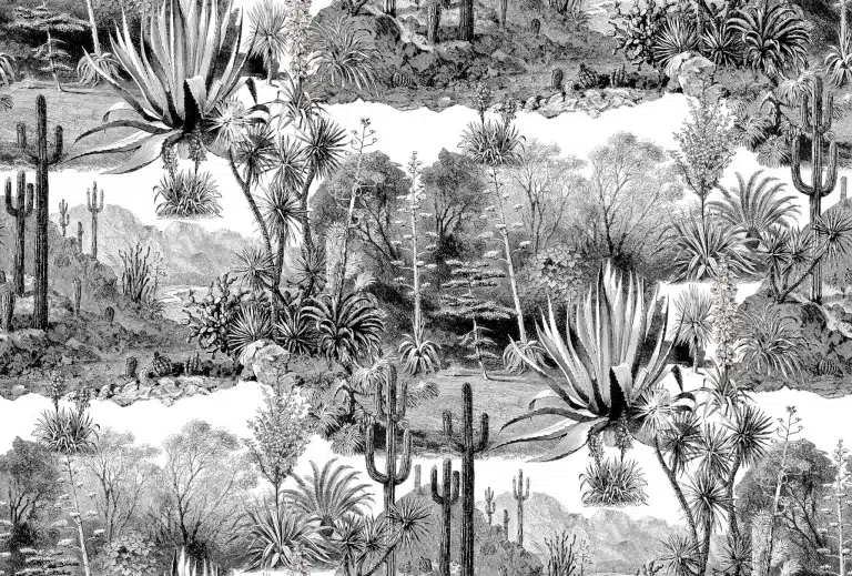Обои — Pierre Frey — PAMPA Jais — FP395001