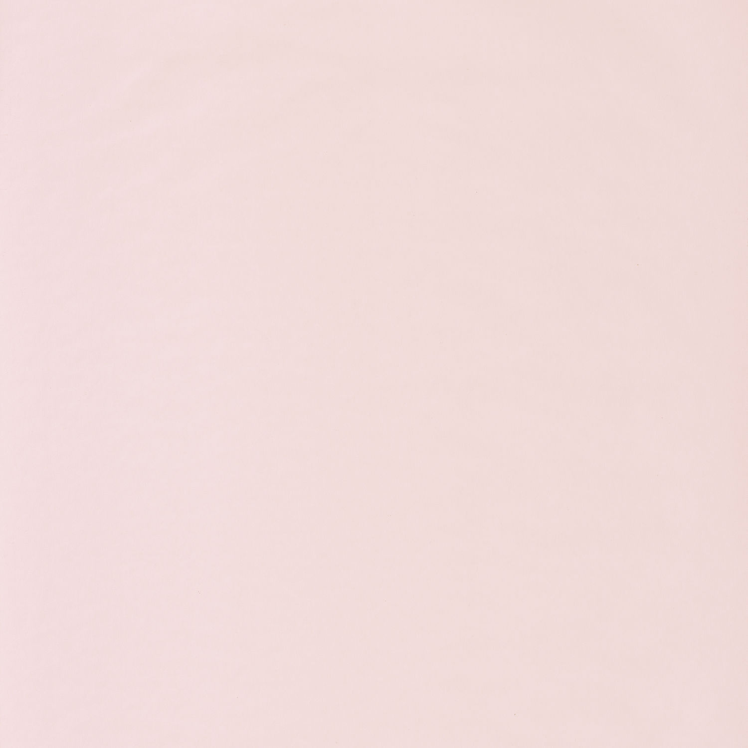 Обои Casadeco ROSE & NINO CASADECO Smile uni Coquille (арт. 69861001)