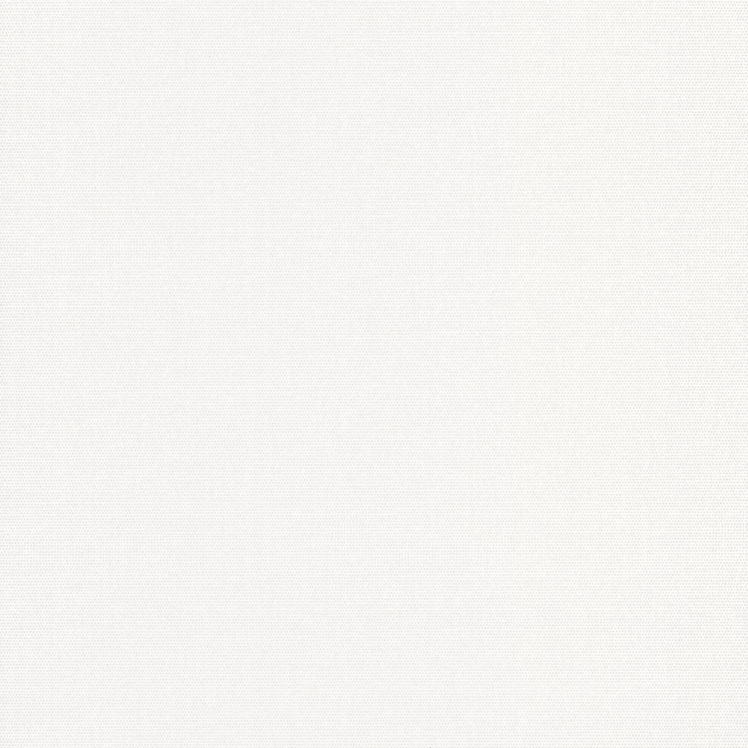 Обои Casadeco BEAUTY FULL COLOR Helsinki resolution Blanc (арт. 82070127)