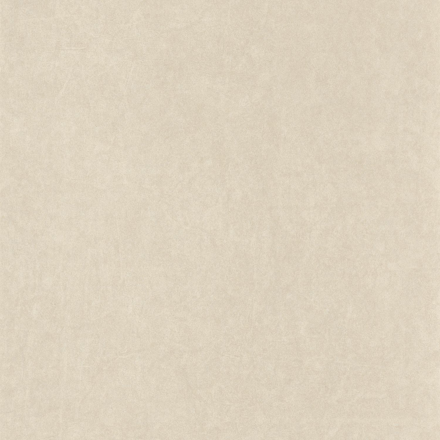 Обои — Casadeco — BEAUTY FULL IMAGE — Oxford lewis — Beige (арт. 84071202)