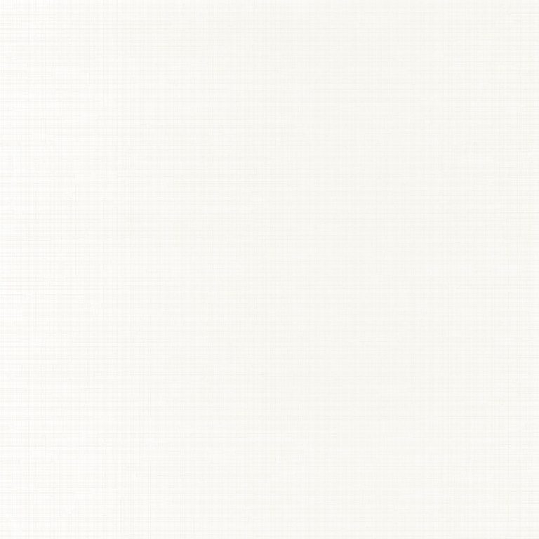 Обои Casadeco BEAUTY FULL COLOR Segment Blanc (арт. 83740101)