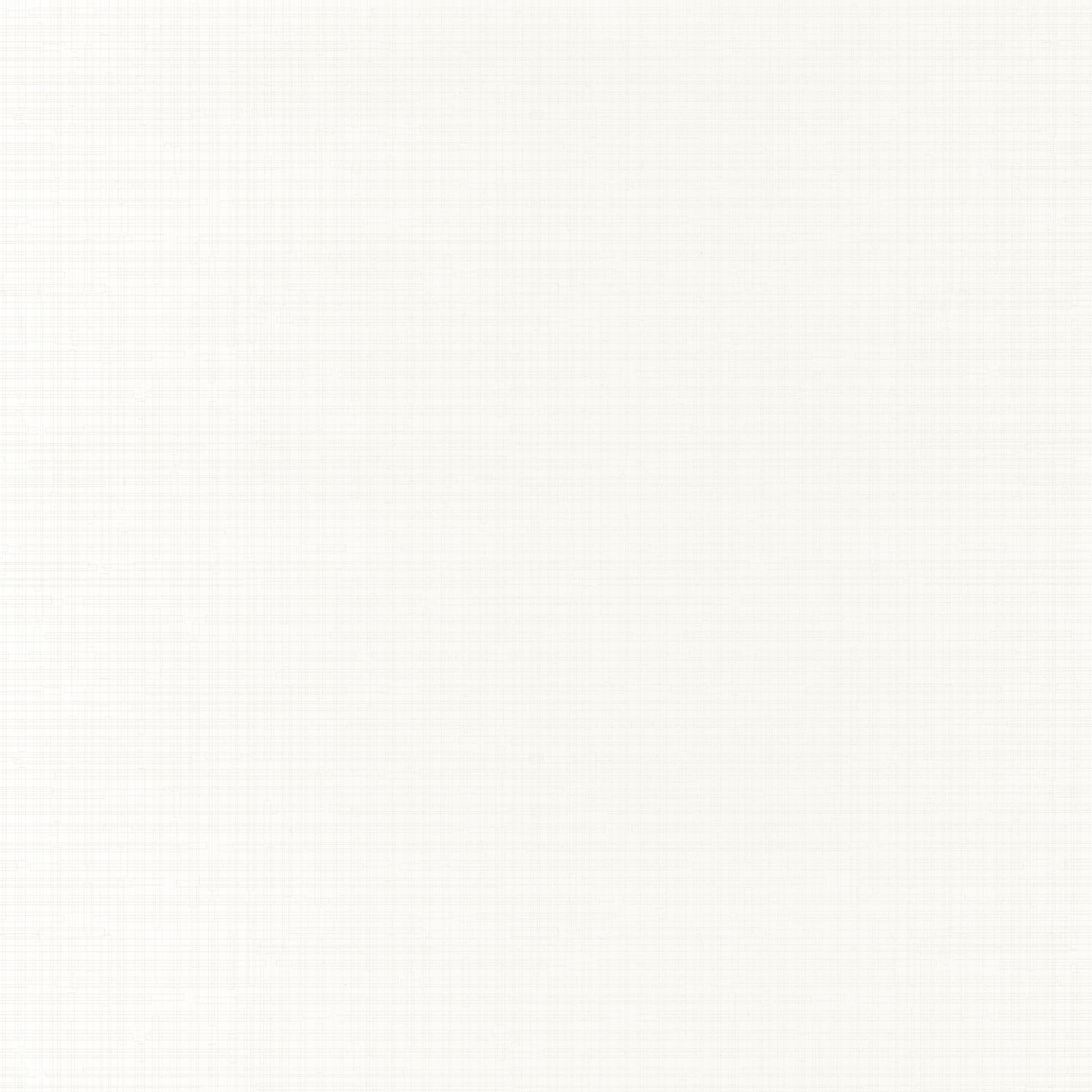 Обои Casadeco BEAUTY FULL COLOR Segment Blanc (арт. 83740101)