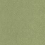 Обои — Casadeco — COTTON TOUCH — Florescence kiosque — Vert cactus (арт. 82387512)