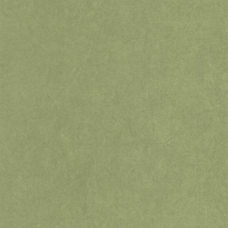 Обои Casadeco COTTON TOUCH Florescence kiosque Vert cactus (арт. 82387512)
