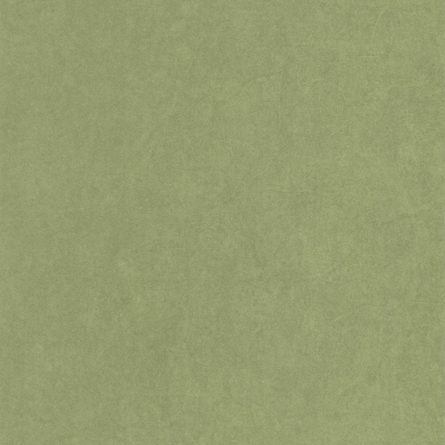 Обои — Casadeco — COTTON TOUCH — Florescence kiosque — Vert cactus (арт. 82387512)