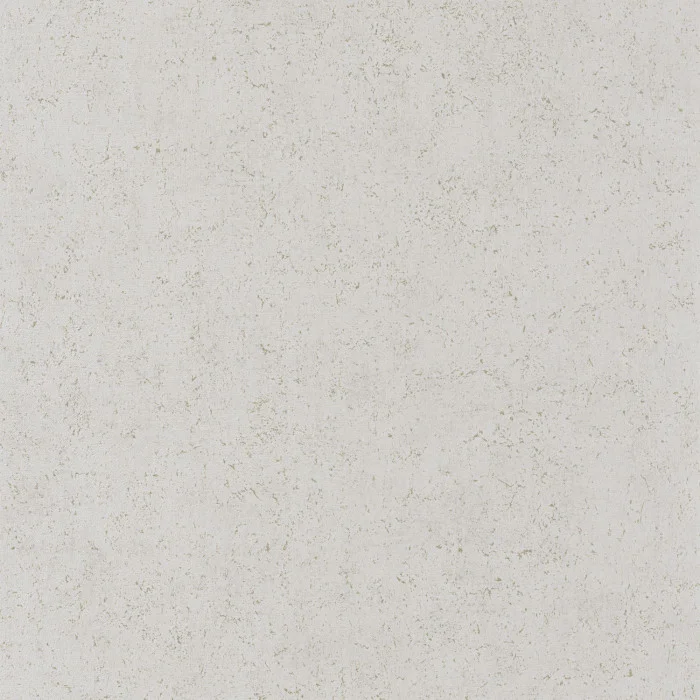 Обои Casadeco MINERALS Mur à La Chaux Gris calcaire (арт. 88099237)