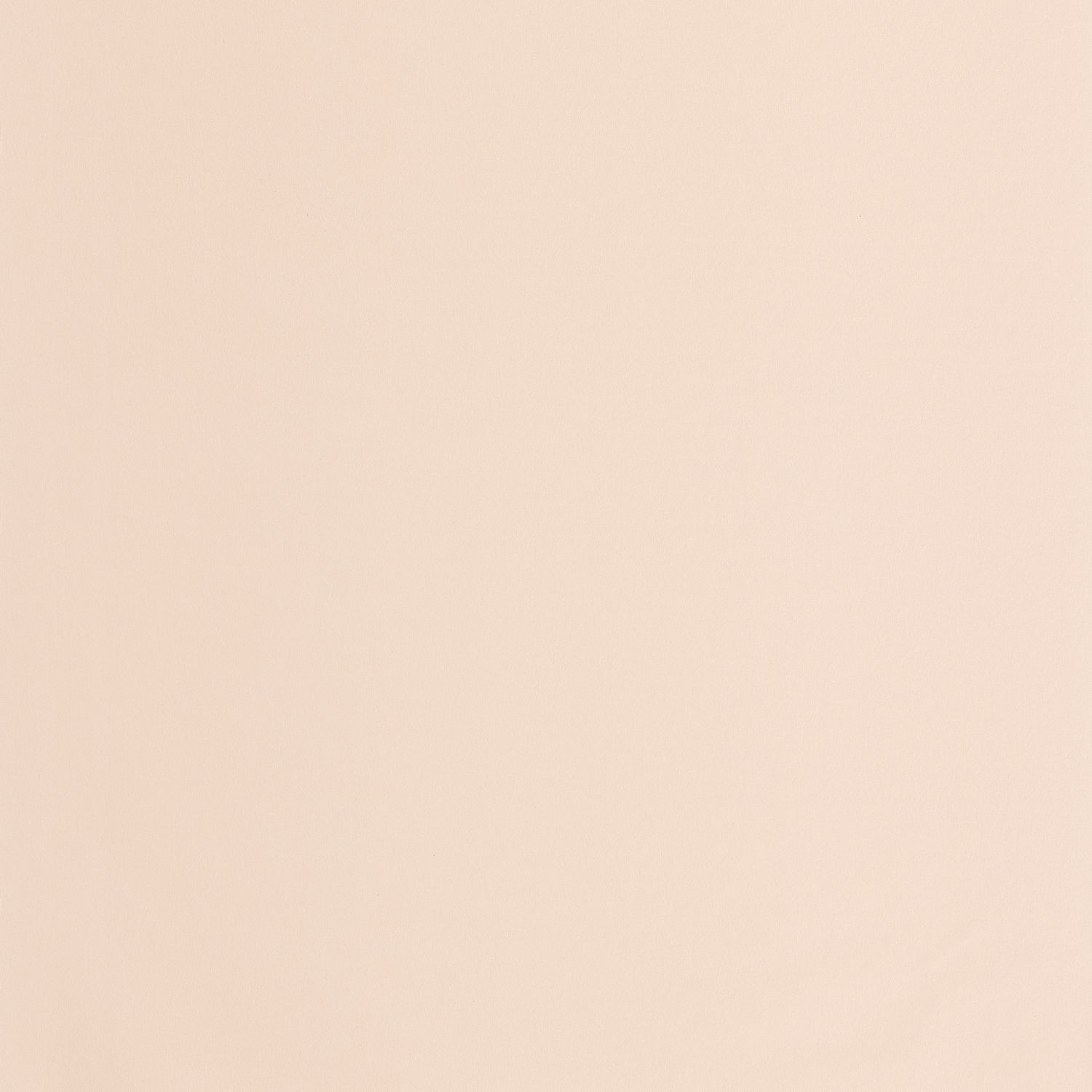 Обои Casadeco AUTOUR DU MONDE Smile uni Beige (арт. 69861303)