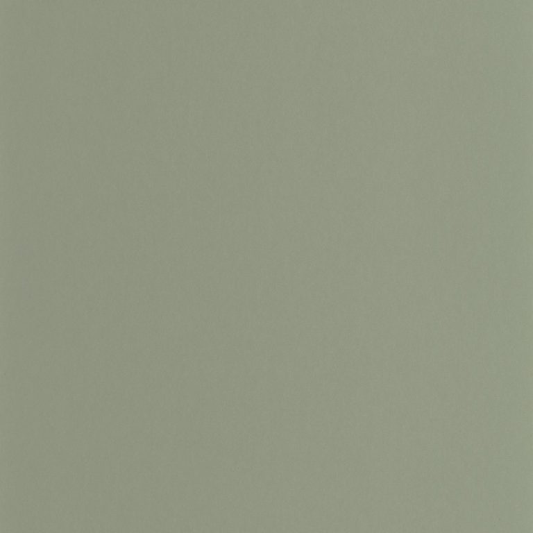 Обои Casadeco GALONS & FRISES Pigments Celadon (арт. 200336303)