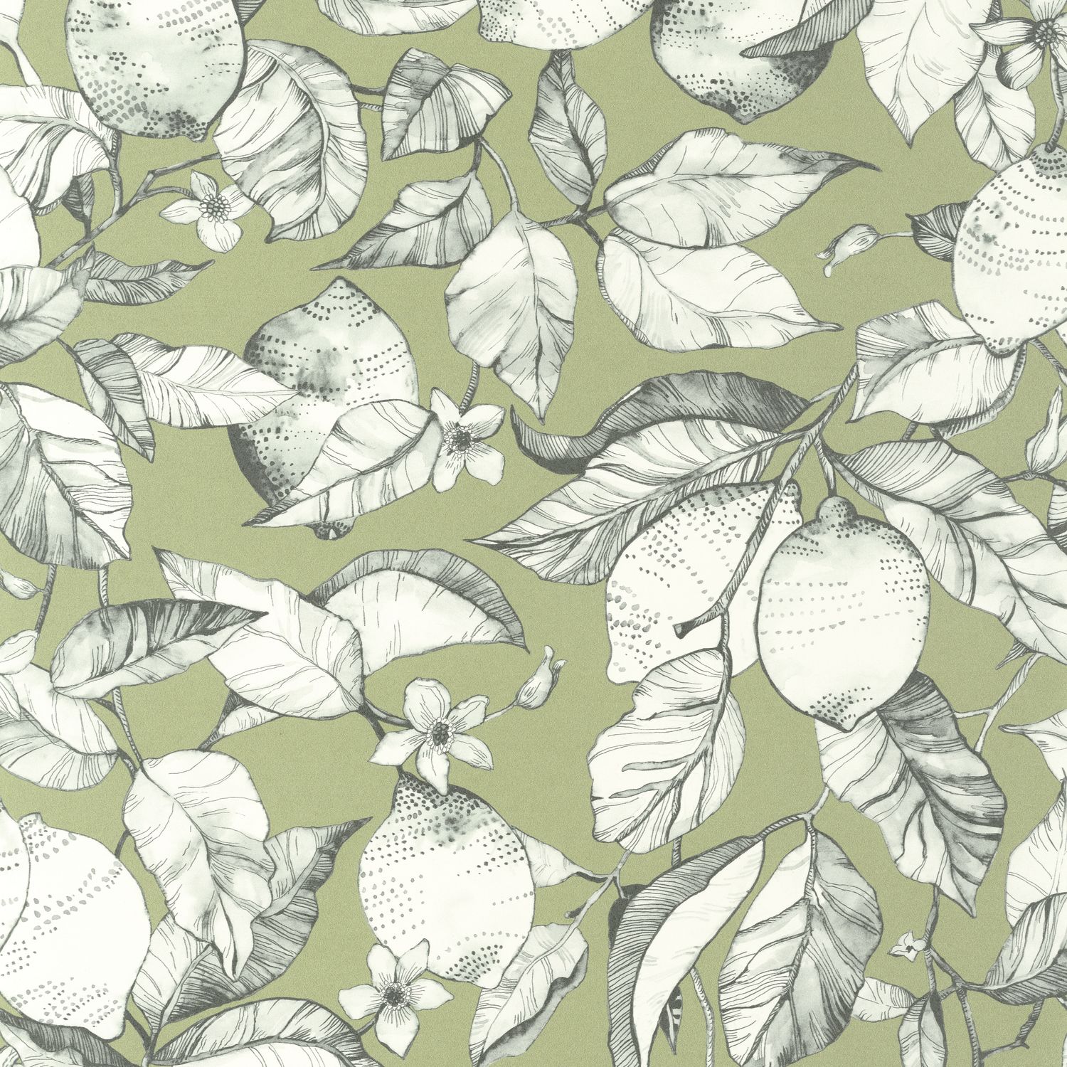 Обои — Casadeco — SOLIFLORE — Lemon tree — Argile verte (арт. 200277313)