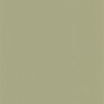 Обои — Casadeco — GALONS & FRISES — Pigments — Argile verte (арт. 200337337)
