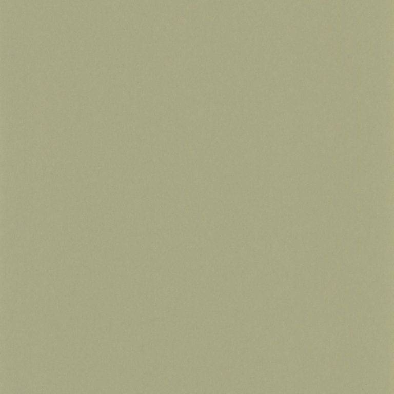 Обои Casadeco GALONS & FRISES Pigments Argile verte (арт. 200337337)