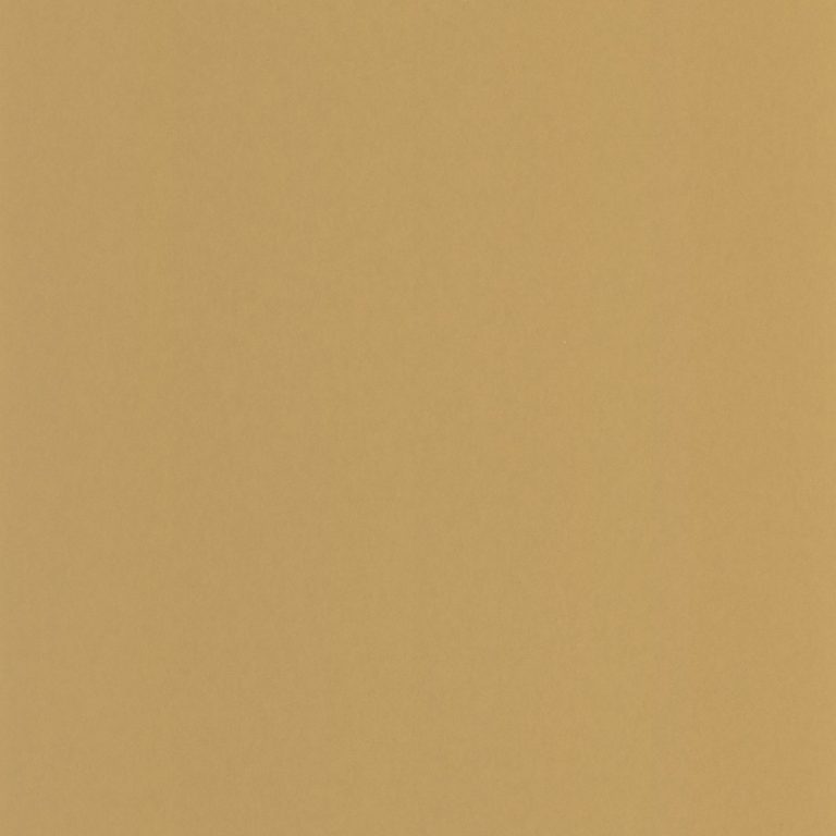 Обои Casadeco GALONS & FRISES Pigments Jaune ocre (арт. 200332424)