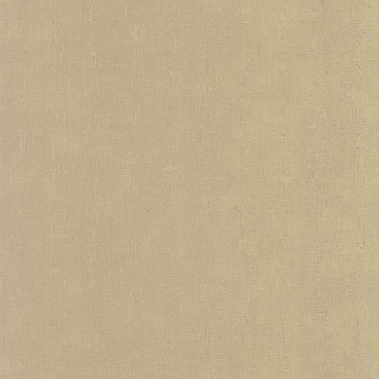 Обои Casadeco Etamine Beige ficelle (арт. 200251919)