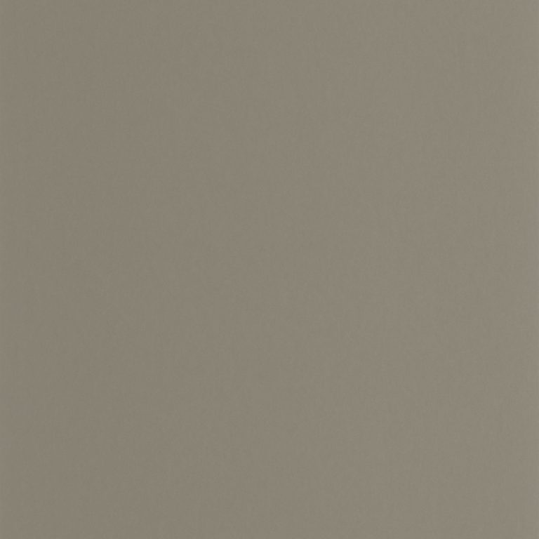 Обои Casadeco GALONS & FRISES Pigments Gris elephant (арт. 200339404)