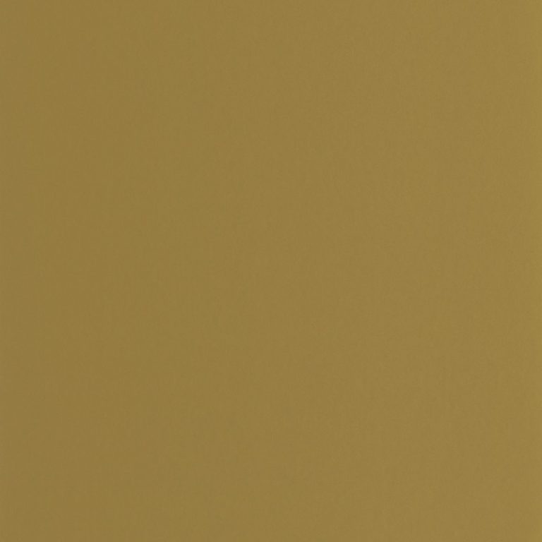 Обои Casadeco GALONS & FRISES Pigments Olive (арт. 200337474)