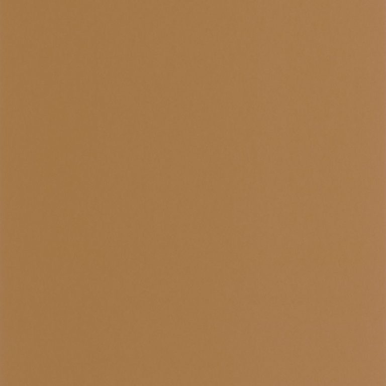 Обои Casadeco GALONS & FRISES Pigments Caramel (арт. 200332626)