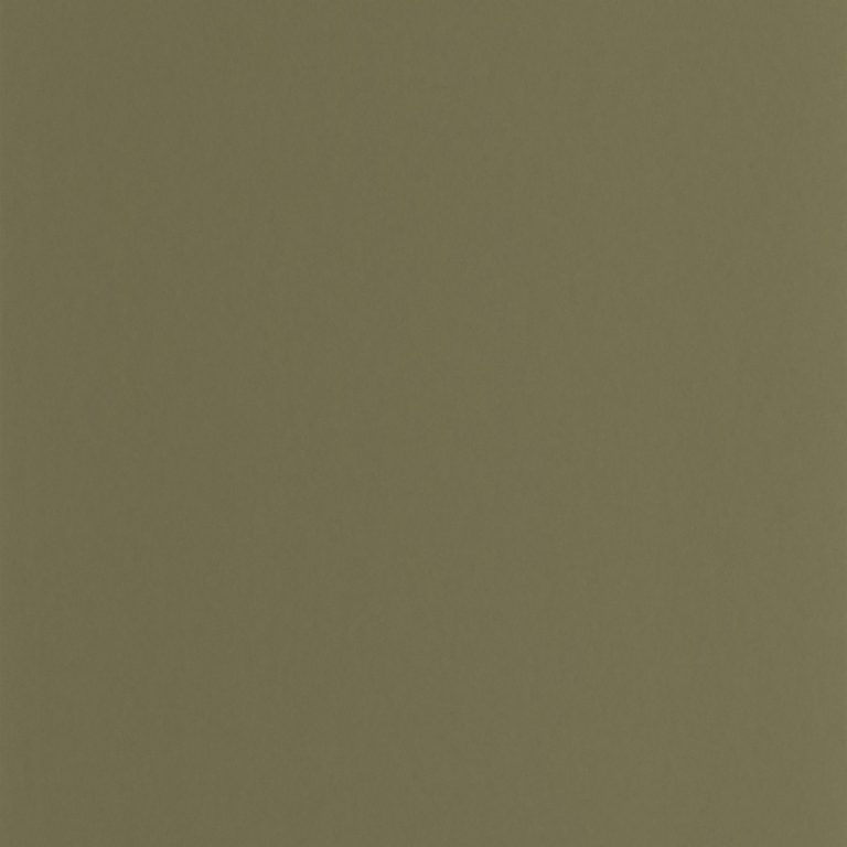 Обои Casadeco GALONS & FRISES Pigments Vert kaki (арт. 200337606)