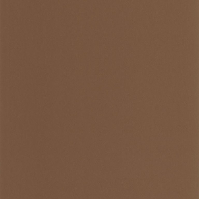 Обои Casadeco GALONS & FRISES Pigments Cacao (арт. 200332909)
