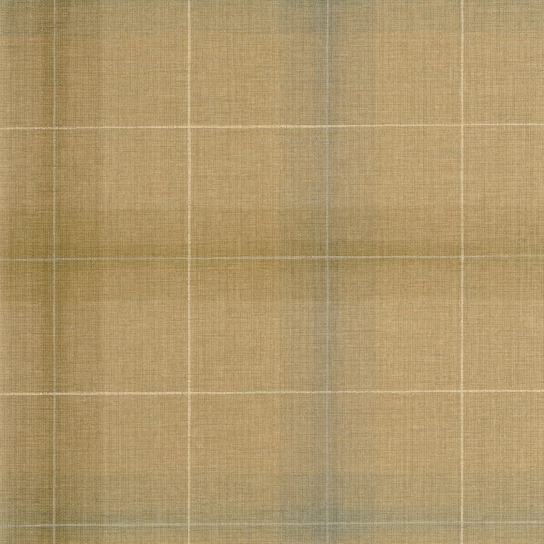Обои Casadeco CARNABY STREET Archie Ocre (арт. 200522567)