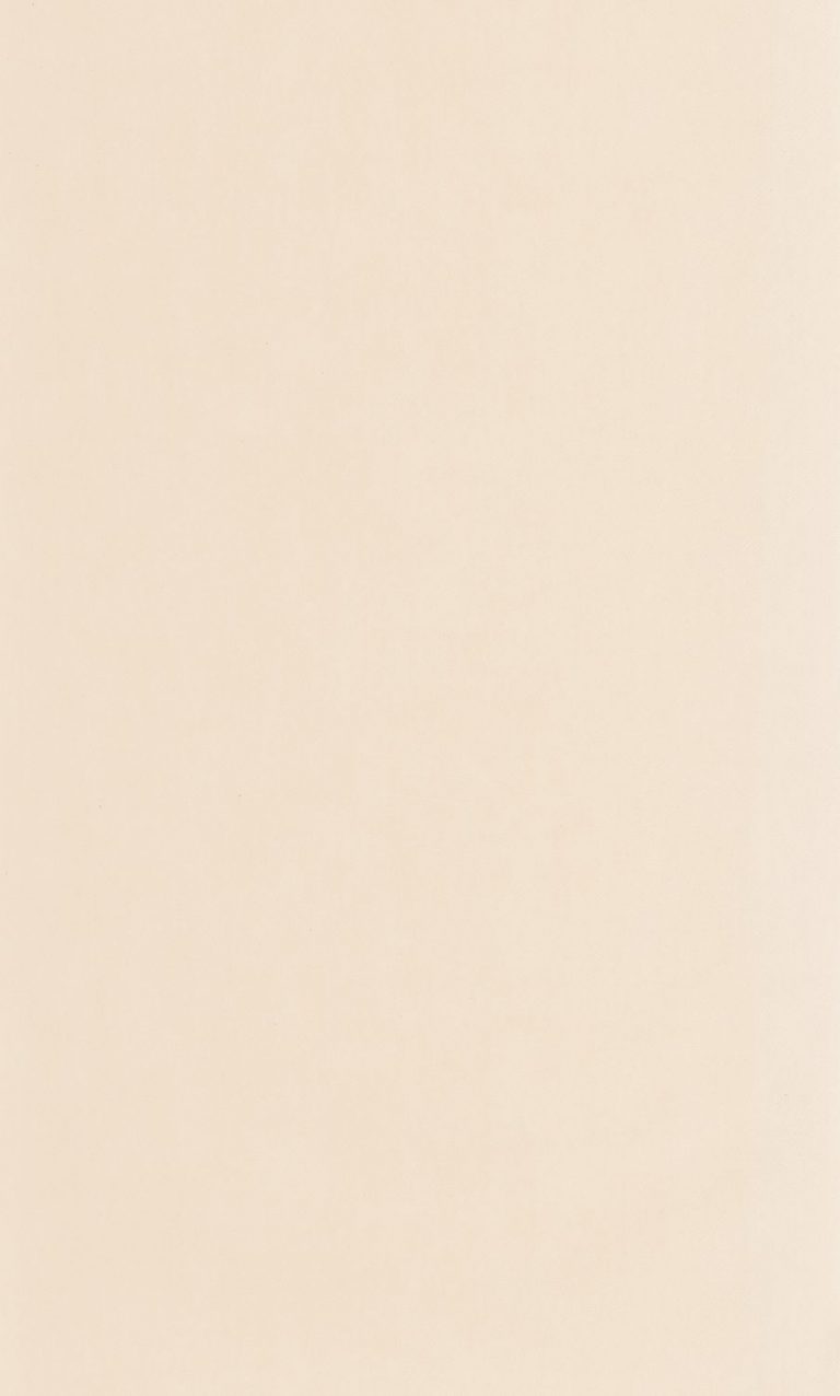 Обои — Casadeco — Nest — Blanc craie (арт. 201000303)