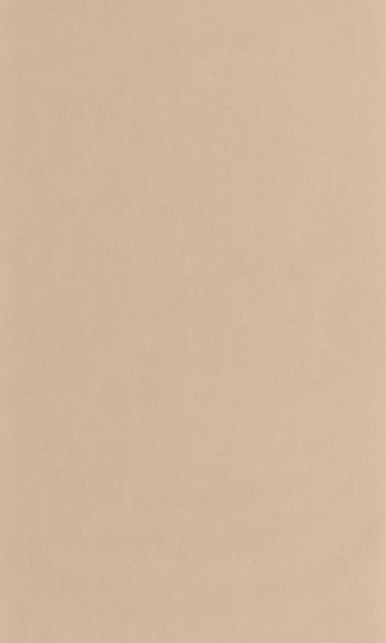 Обои — Casadeco — Nest — Beige desert (арт. 201004334)