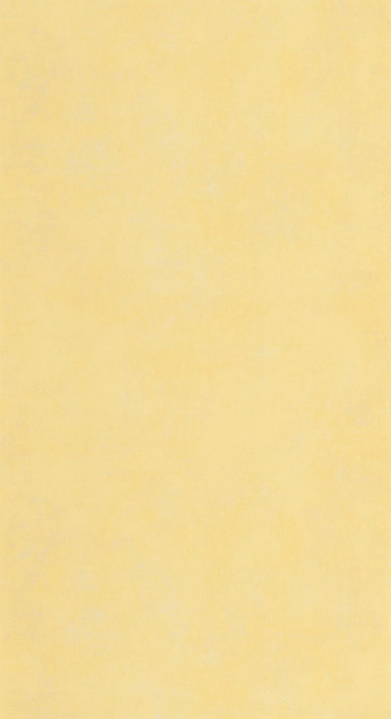 Обои — Casadeco — STONE — Prague stone uni — Jaune alchemille (арт. 80832109)