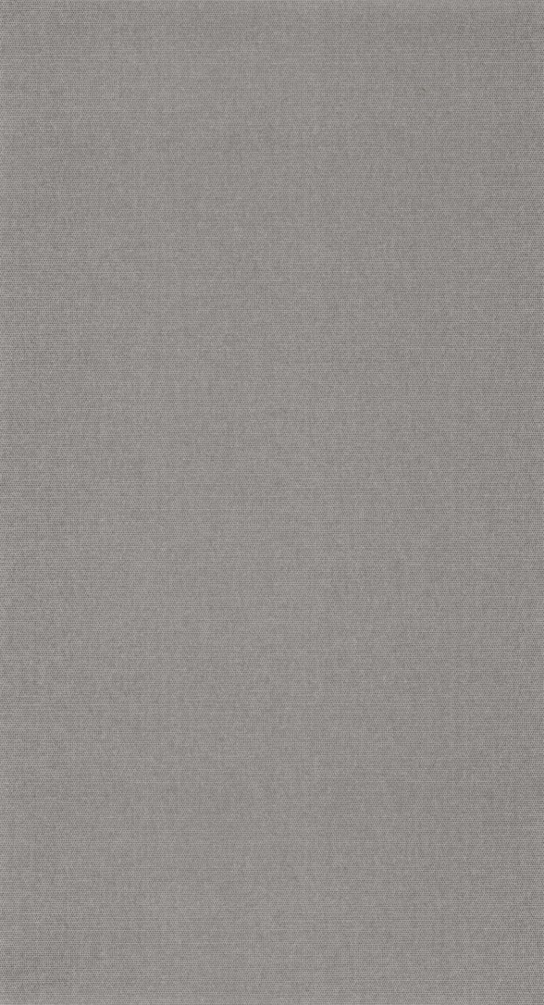 Обои — Casadeco — BOTANICA — Helsinki resolution — Uni gris chine (арт. 82079324)