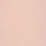Обои — Casadeco — BEAUTY FULL IMAGE — Natsu washi — Rose (арт. 82184129)