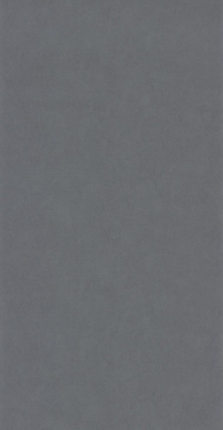 Обои — Casadeco — BEAUTY FULL IMAGE — Natsu washi — Gris fonce (арт. 82189430)