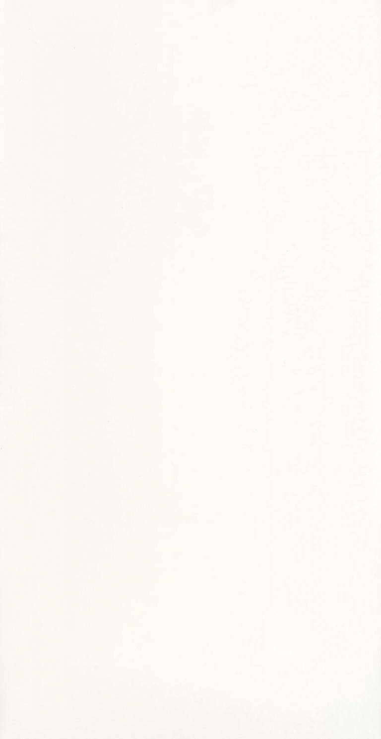 Обои — Casadeco — COTTON TOUCH — Florescence kiosque — Blanc polaire (арт. 82380054)