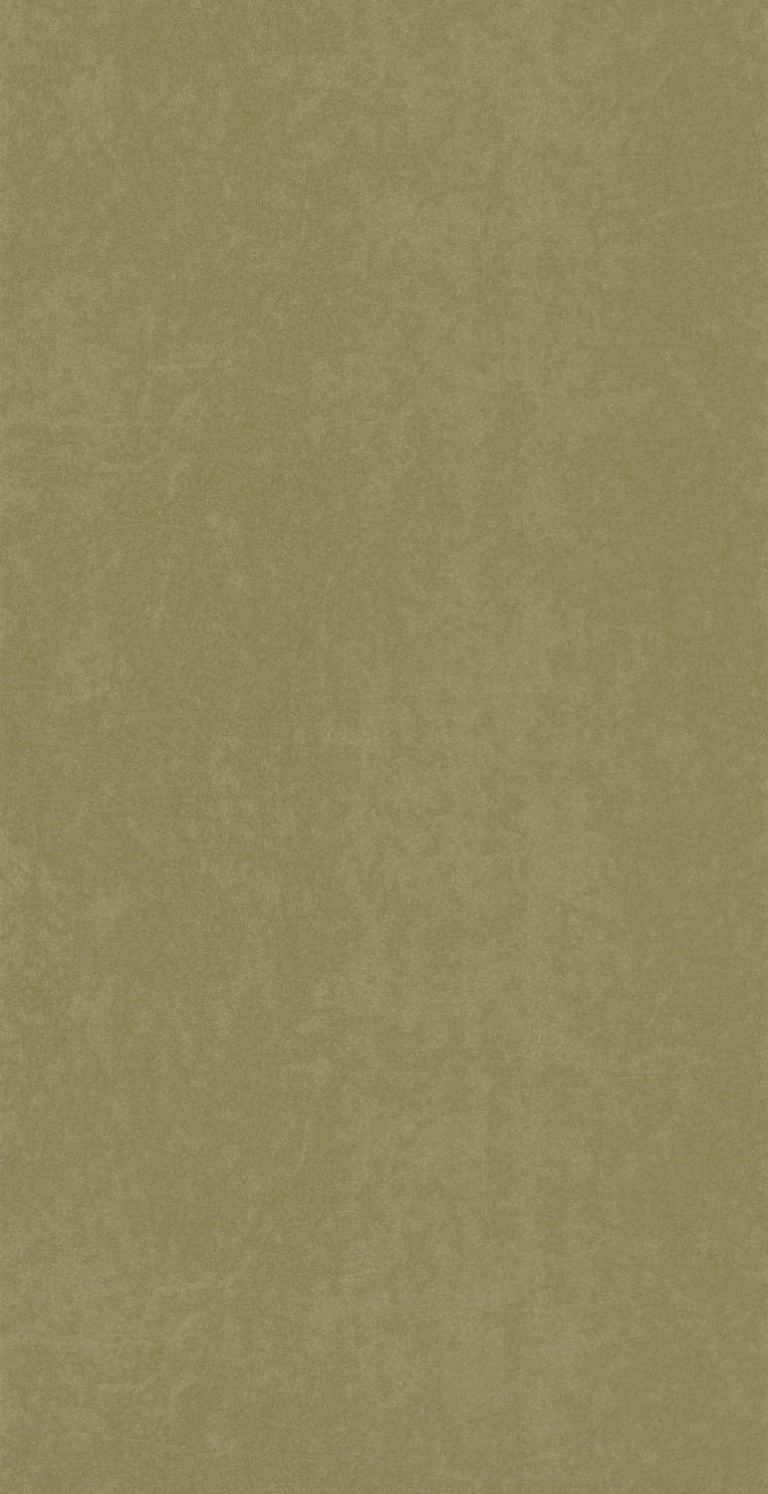 Обои — Casadeco — COTTON TOUCH — Florescence kiosque — Vert olive (арт. 82387749)