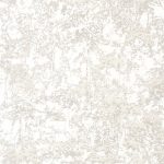 Обои — Casadeco — SO WHITE 4 — Encyclopedia terebro — Blanc (арт. 82640232)