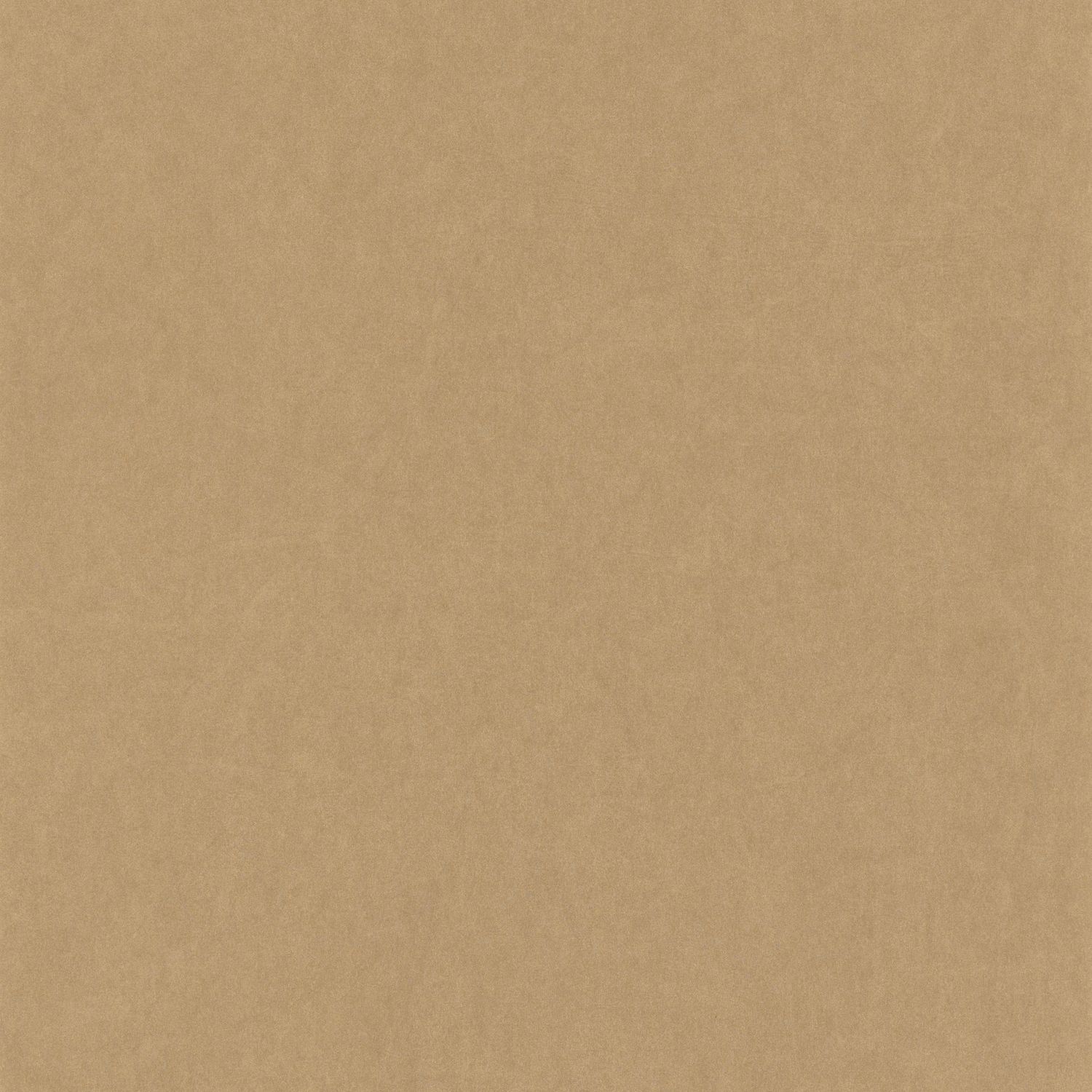 Обои Casadeco BEAUTY FULL IMAGE Oxford lewis Beige (арт. 84071424)
