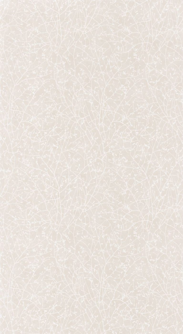 Обои — Casadeco — SO WHITE 4 — Natura spring — Blanc/beige (арт. 83771122)