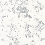 Обои — Casadeco — SO WHITE 4 — Cap vrai — Encre (арт. 83989312)
