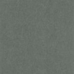 Обои — Casadeco — BEAUTY FULL IMAGE — Oxford lewis — Kaki (арт. 84077414)