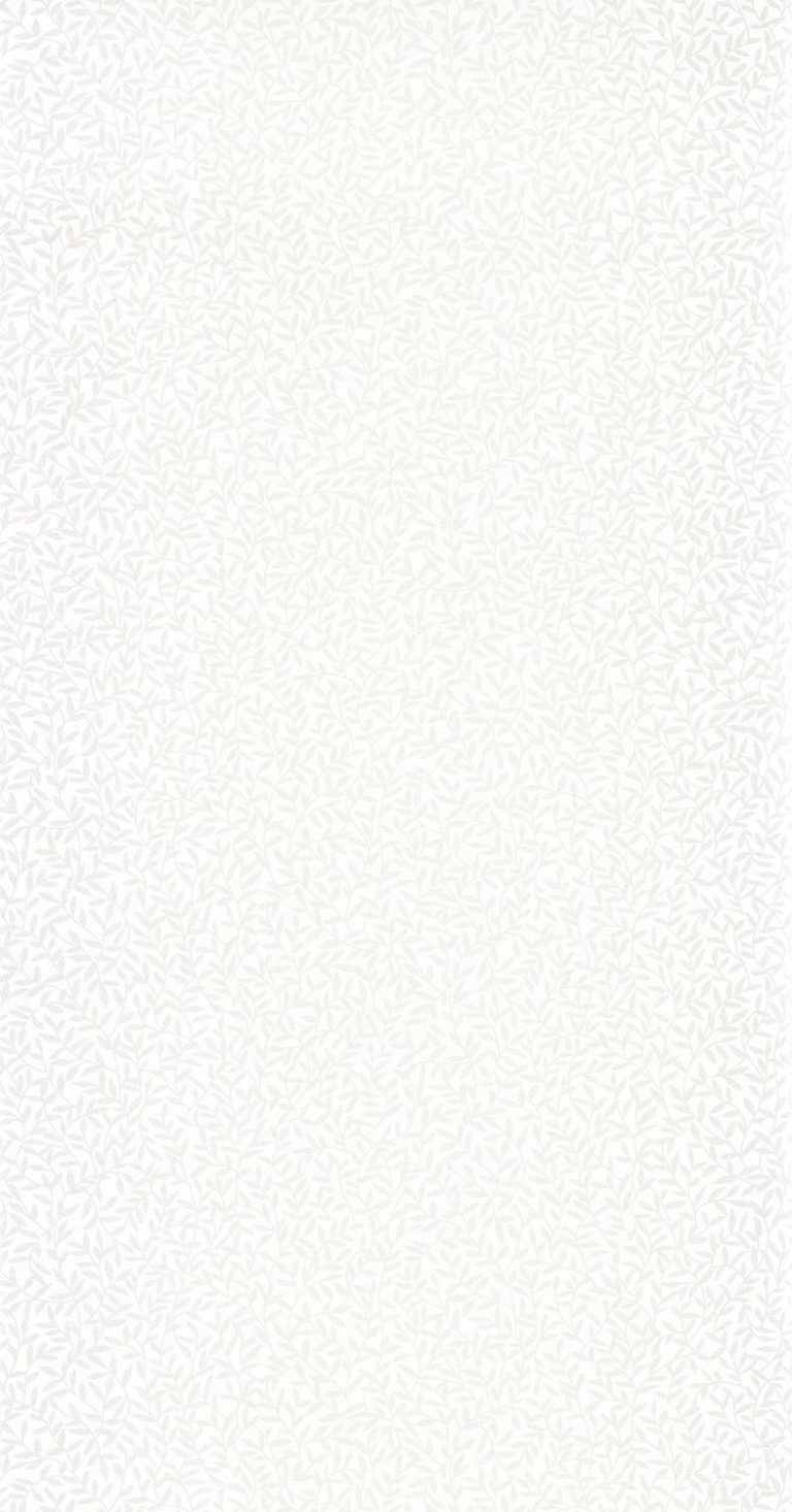 Обои — Casadeco — SO WHITE 4 — Oxford abigail — Beige (арт. 84120233)