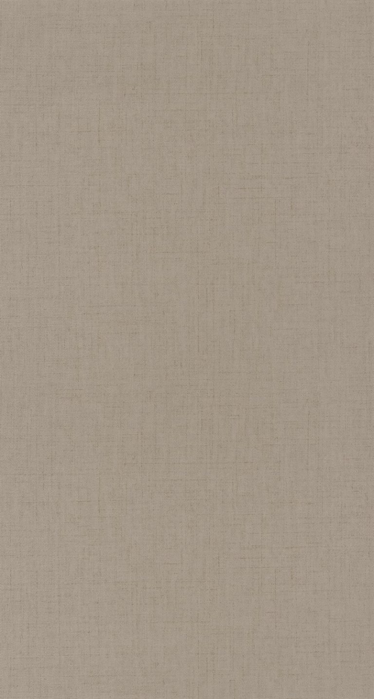 Обои — Casadeco — TEXTILES — RIVERSIDE 3 UNI FLANELLE — Grege (арт. 85321719)
